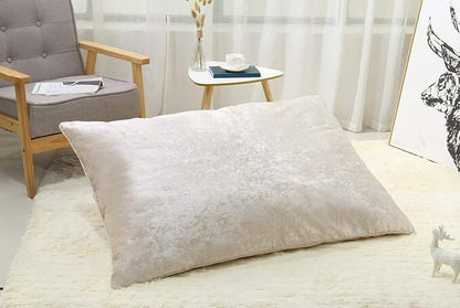 epi19